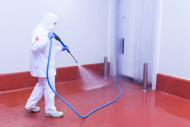 Best Sidewalk and Walkway Cleaning  in Sea Cliff, NY